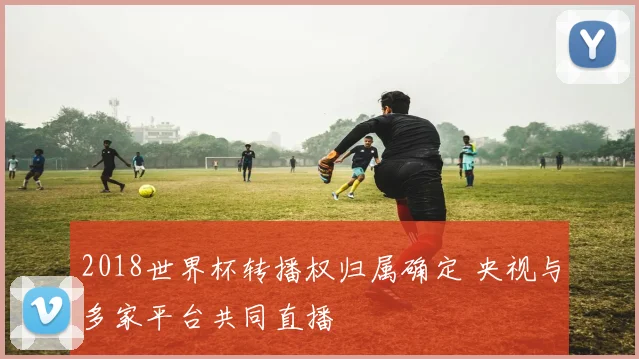 2018世界杯转播权归属确定 央视与多家平台共同直播