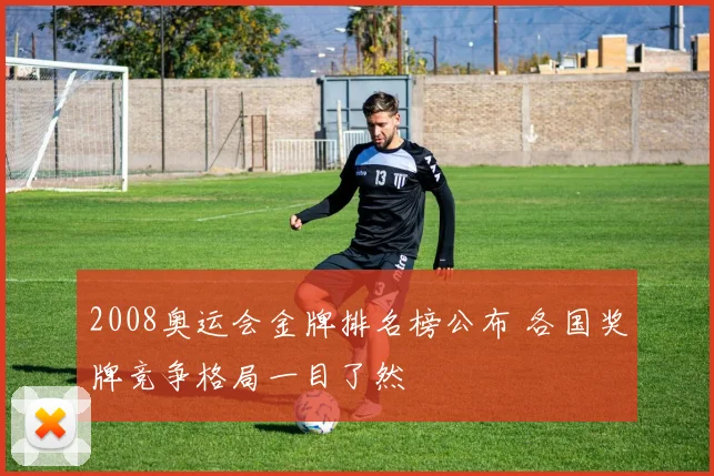 2008奥运会金牌排名榜公布 各国奖牌竞争格局一目了然