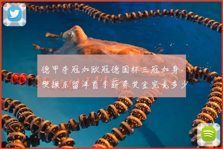 德甲夺冠加欧冠德国杯三冠加身，樊振东留洋首季薪资奖金究竟多少？_欧元_1_CBA