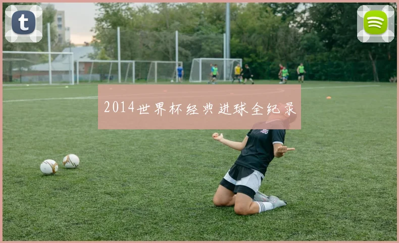 2014世界杯经典进球全纪录