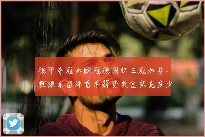 德甲夺冠加欧冠德国杯三冠加身，樊振东留洋首季薪资奖金究竟多少？_欧元_1_CBA