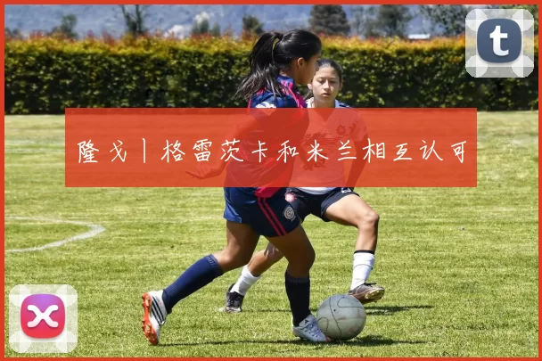 隆戈丨格雷茨卡和米兰相互认可