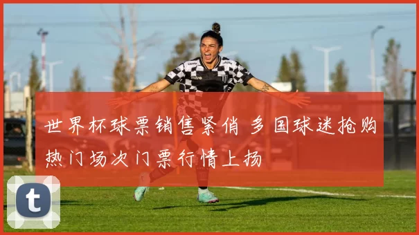 世界杯球票销售紧俏 多国球迷抢购热门场次门票行情上扬