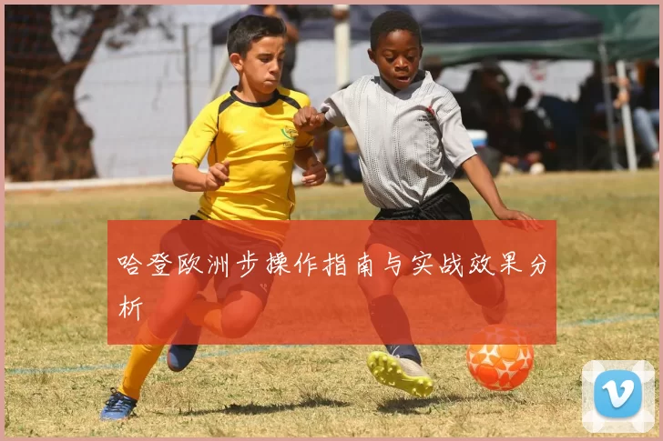 哈登欧洲步操作指南与实战效果分析
