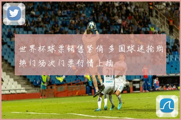 世界杯球票销售紧俏 多国球迷抢购热门场次门票行情上扬